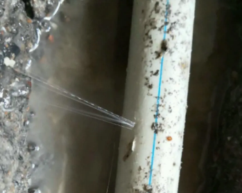 隆尧卫生间测漏水多少钱